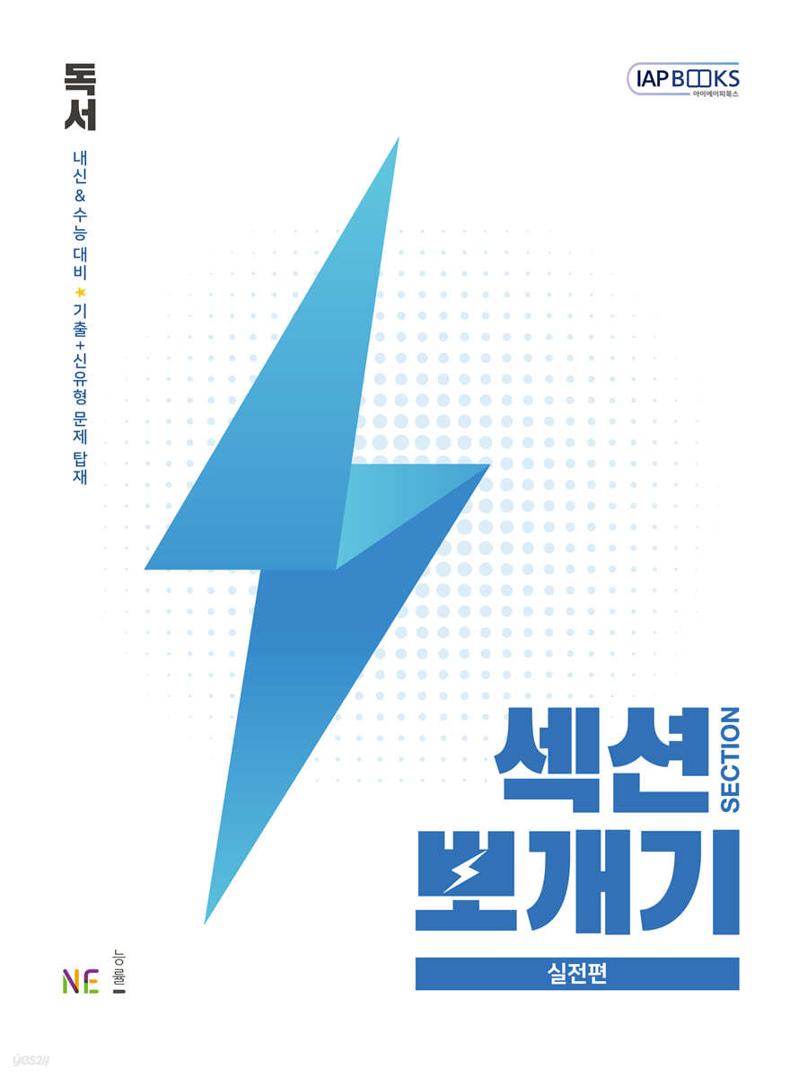 섹션뽀개기 실전편 독서
