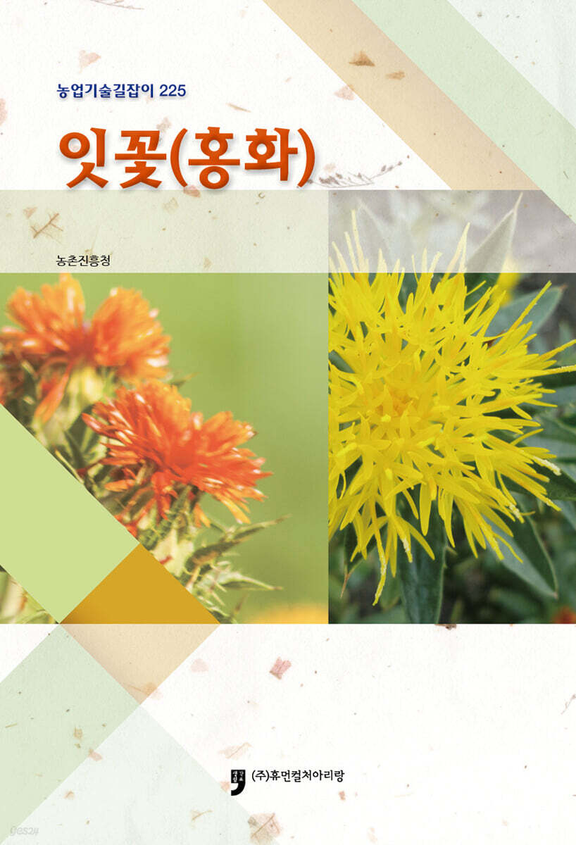 잇꽃(홍화)