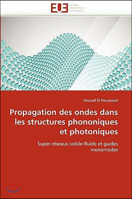 Propagation Des Ondes Dans Les Structures Phononiques Et Photoniques