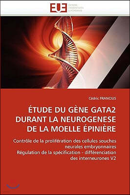 Etude du gene gata2 durant la neurogenese de la moelle epiniere