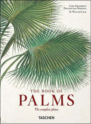 Martius. the Book of Palms. 40th Ed.