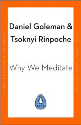 Why We Meditate