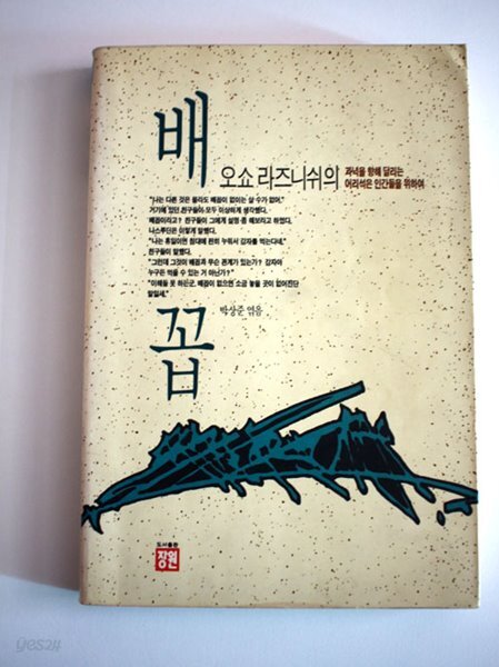 배꼽