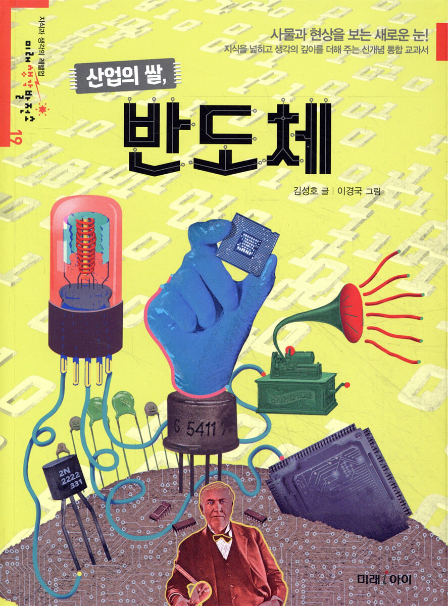 산업의 쌀, 반도체