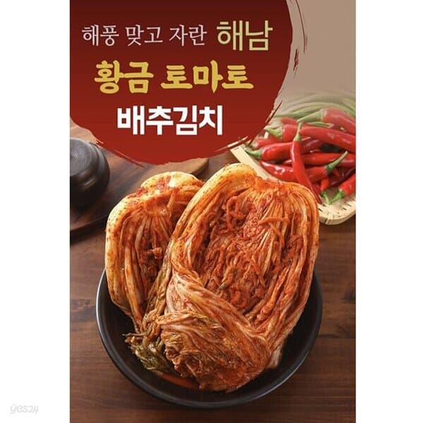 해남 황금 토마토 배추김치 1kg