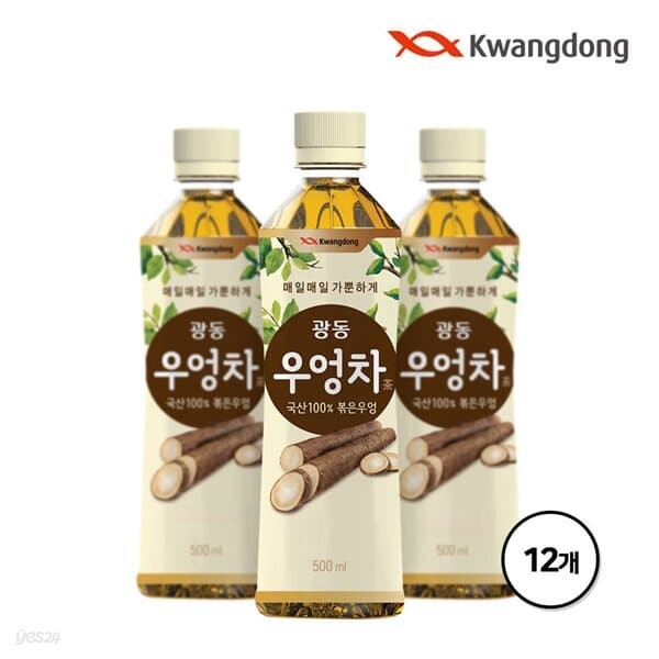 광동 우엉차 500ml x 12병