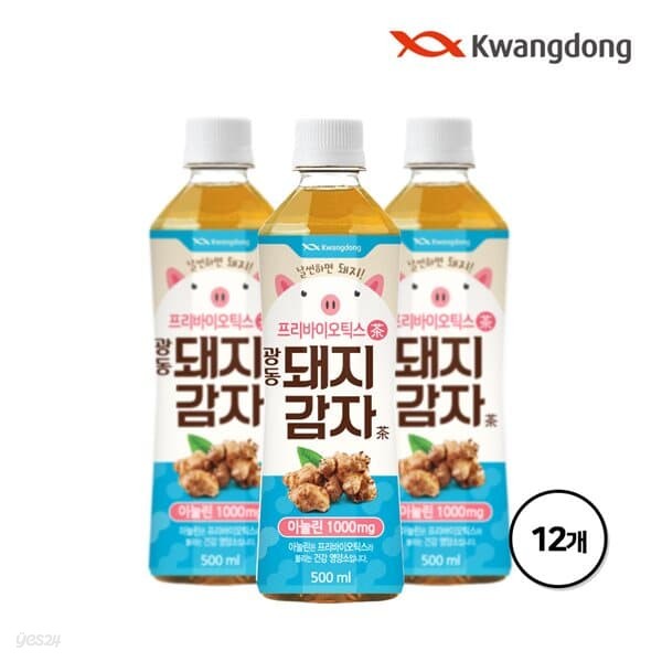 광동 돼지감자차 500ml x 12병