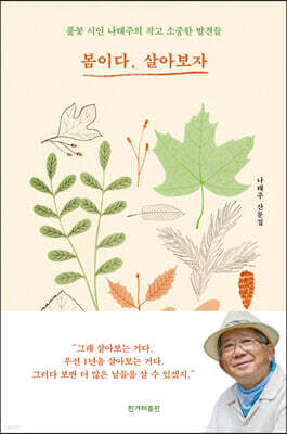 책 정보
