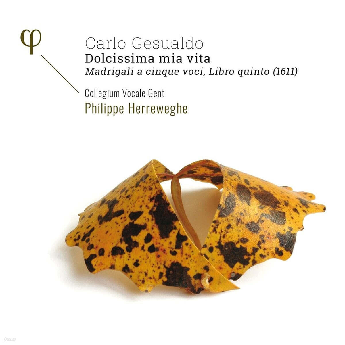Collegium Vocale Gent 제수알도: 마드리갈 5권 - 내 인생의 가장 감미로운 삶, 그대여 (Gesualdo: Madrigali a cinque voci, Libro quinto - Dolcissima mia vita)