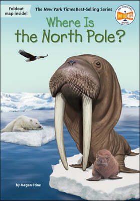 Where Is the North Pole?