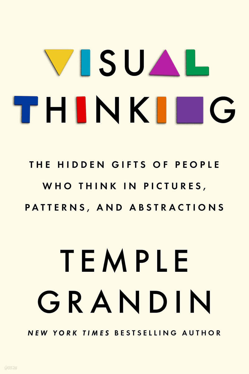 Visual Thinking: The Hidden Gifts of People Who Think in Pictures, Patterns, and Abstractions