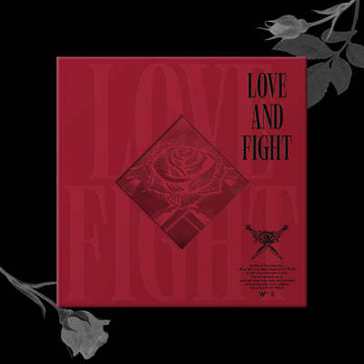 라비 (RAVI) 2집 - LOVE & FIGHT