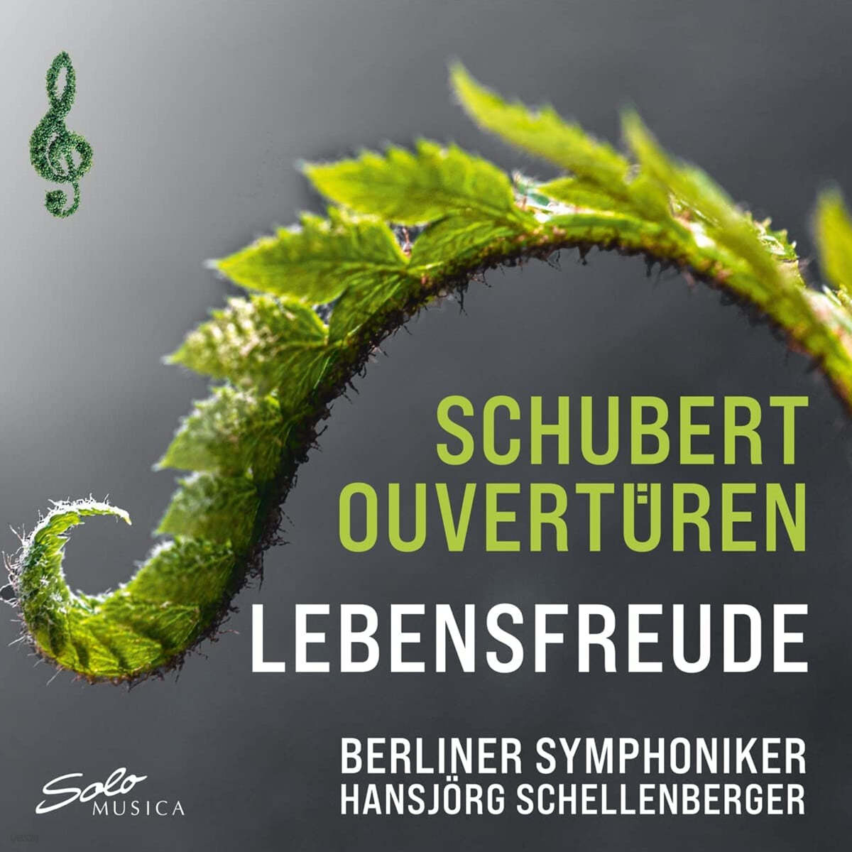 Hansjorg Schellenberger 슈베르트: 이탈리아 스타일의 서곡, 피에라브라스 서곡, 로자문데 서곡 외 (Schubert: Overture in the Italian Style D590, Fierrabras Overture D796, Rosamunde Overture D797) 