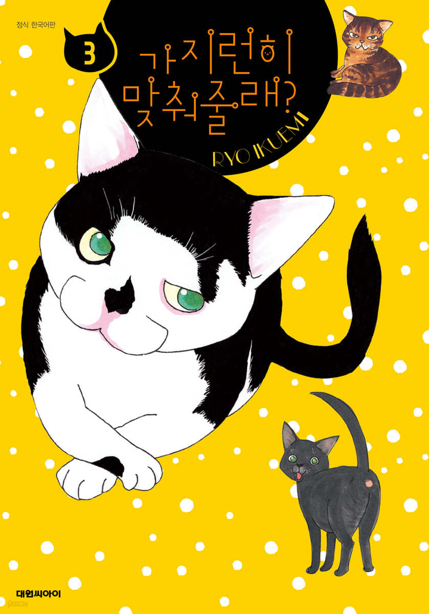 가지런히 맞춰줄래? 3