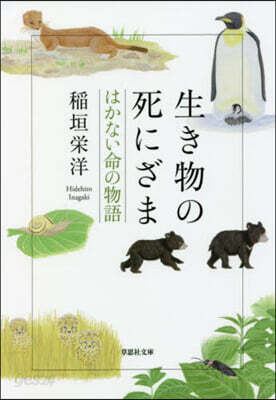 生き物の死にざま はかない命の物語
