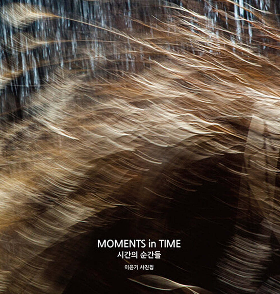 시간의 순간들 MOMENTS in TIME