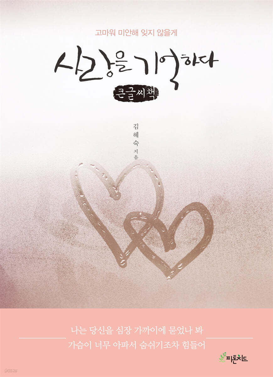 사랑을 기억하다 (큰글씨책)