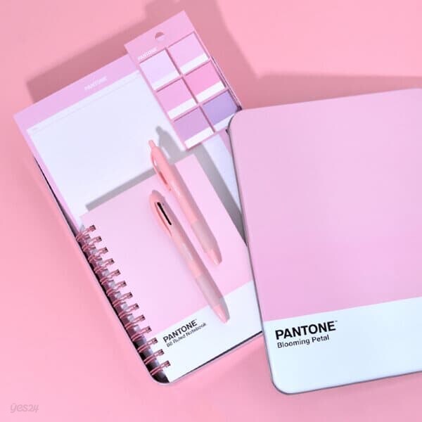 PANTONE 팬톤 깔끔 문구세트