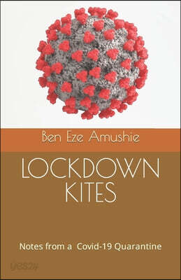 Lockdown Kites: Notes from a Covid-19 Quarantine