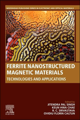 Ferrite Nanostructured Magnetic Materials