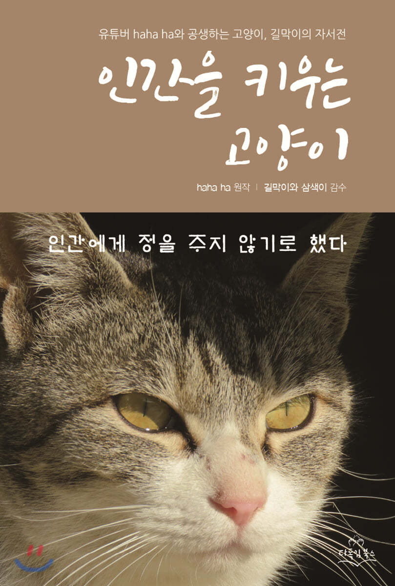 인간을 키우는 고양이