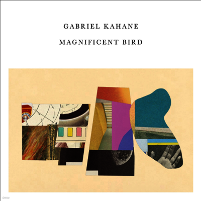 Gabriel Kahane — Magnificent Bird 앨범 커버