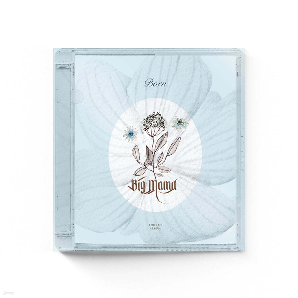 빅마마 (BigMama) 6집 - Born (本)