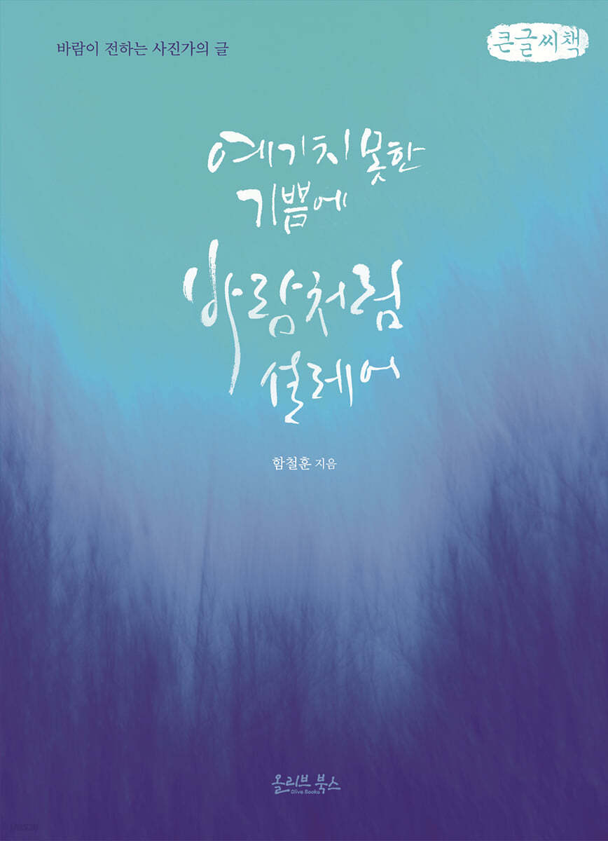 예기치 못한 기쁨에 바람처럼 설레어 (큰글씨책)