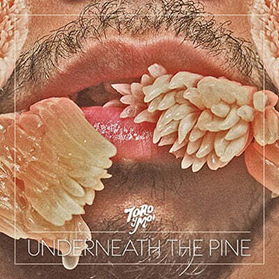 Toro Y Moi — 2집 Underneath The Pine 앨범 커버