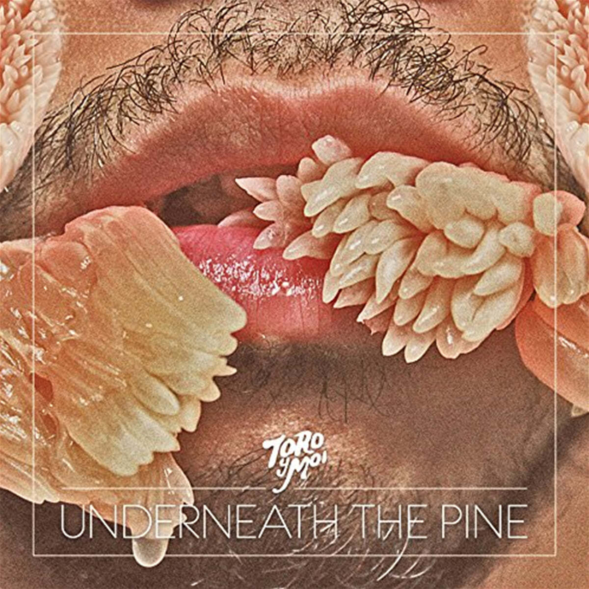 Toro Y Moi (토로 이 므와) - 2집 Underneath The Pine [LP] 