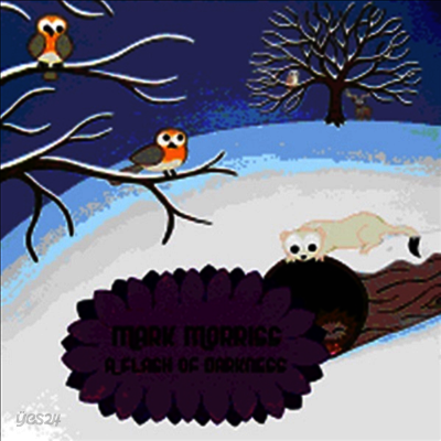 Mark Morriss - A Flash Of Darkness (Vinyl LP)