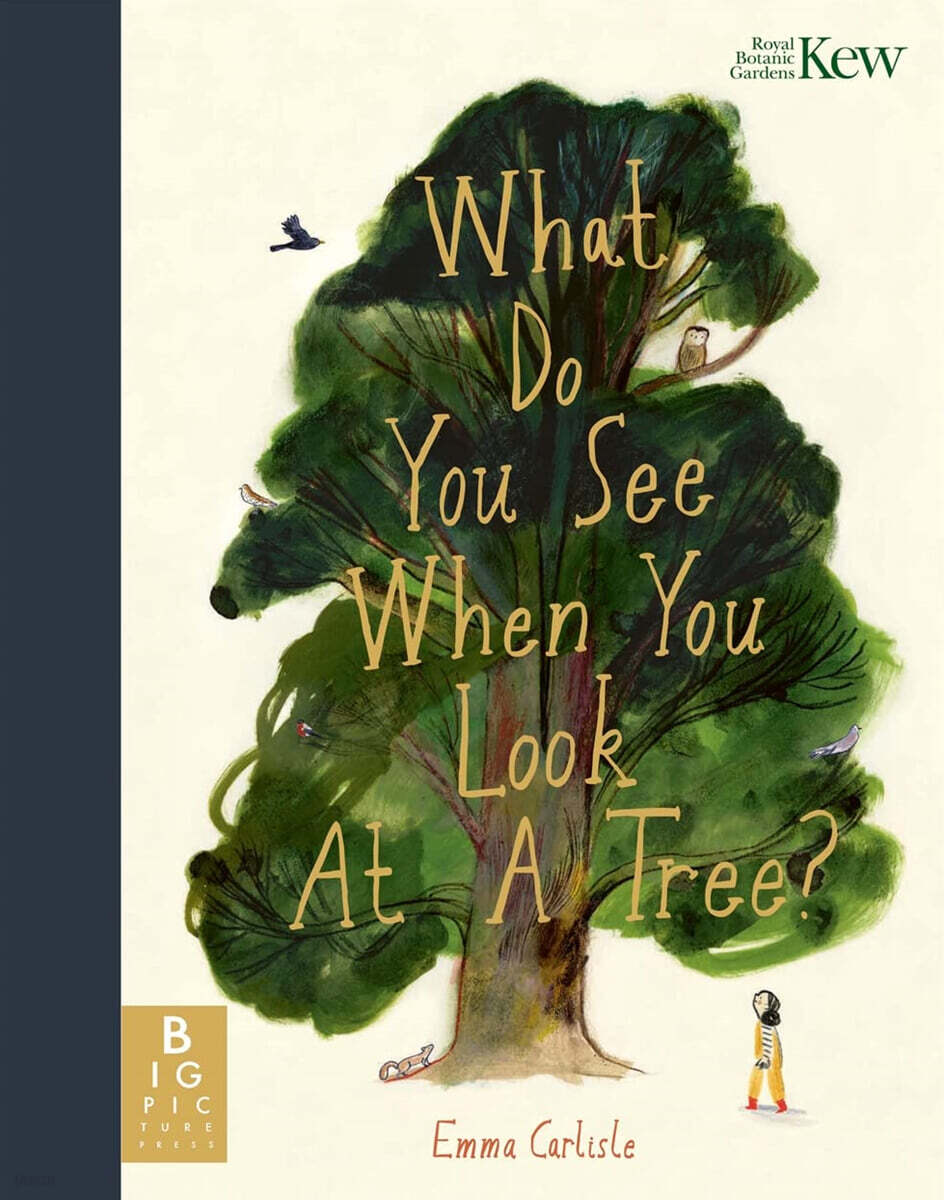 The What Do You See When You Look At a Tree?
