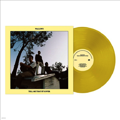 Wallows — Tell Me That It's Over 앨범 커버
