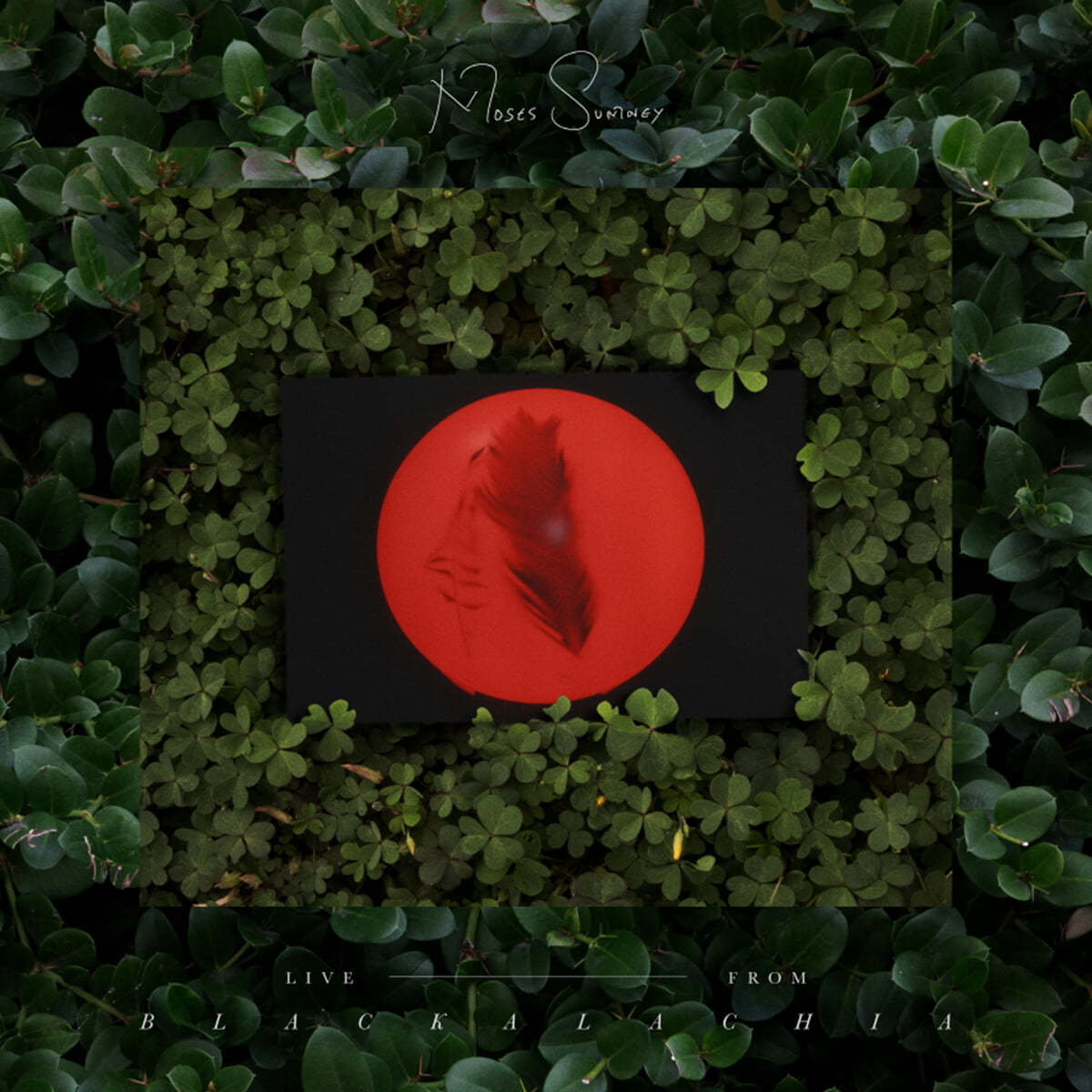 Moses Sumney (모제스 섬니) - Live from Blackalachia [투명 그린 컬러 2LP]