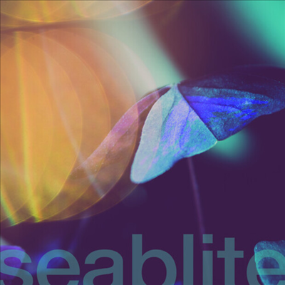 Seablite - Breadcrumbs (7 inch Single LP)
