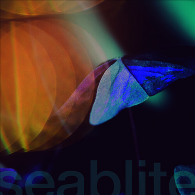 Seablite — Breadcrumbs 앨범 커버