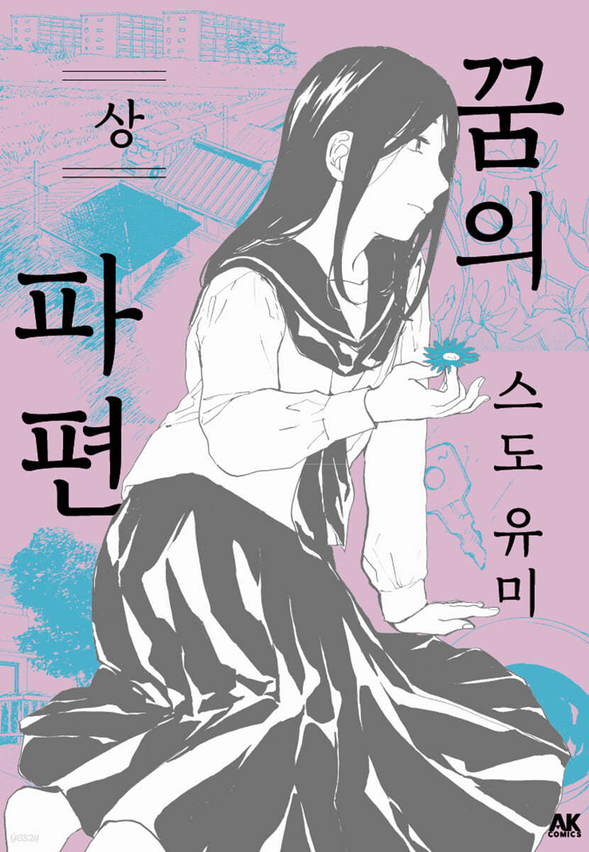 꿈의 파편 (상)