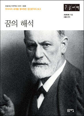 꿈의 해석 (큰글자책)