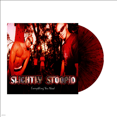 Slightly Stoopid — Everything You Need 앨범 커버