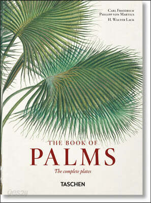 Martius. El Libro de Las Palmeras. 40th Ed.