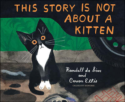 This Story Is Not about a Kitten