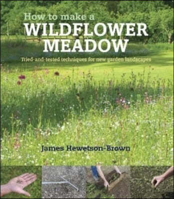 How to Make a Wildflower Meadow: Tried-And-Tested Techniques for New Garden Landscapes