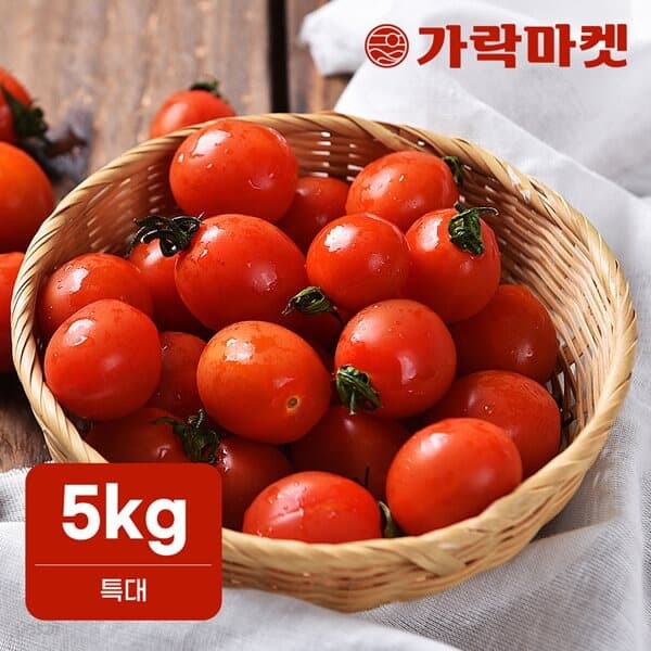 [꿀덩이삼촌] 방울토마토 5kg (특대) 가정용토마토