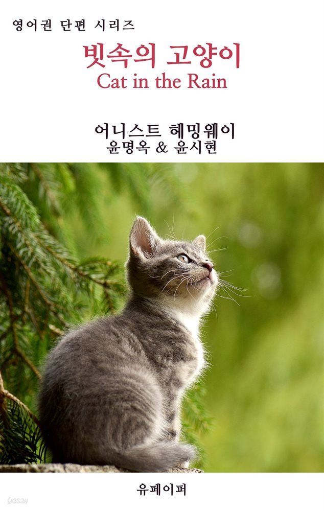 빗속의 고양이 (개정판)