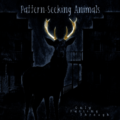 Pattern-Seeking Animals — Only Passing Through 앨범 커버