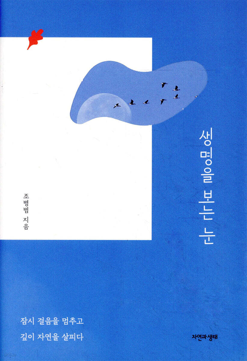 생명을 보는 눈