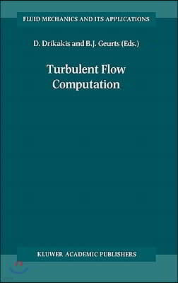 Turbulent Flow Computation