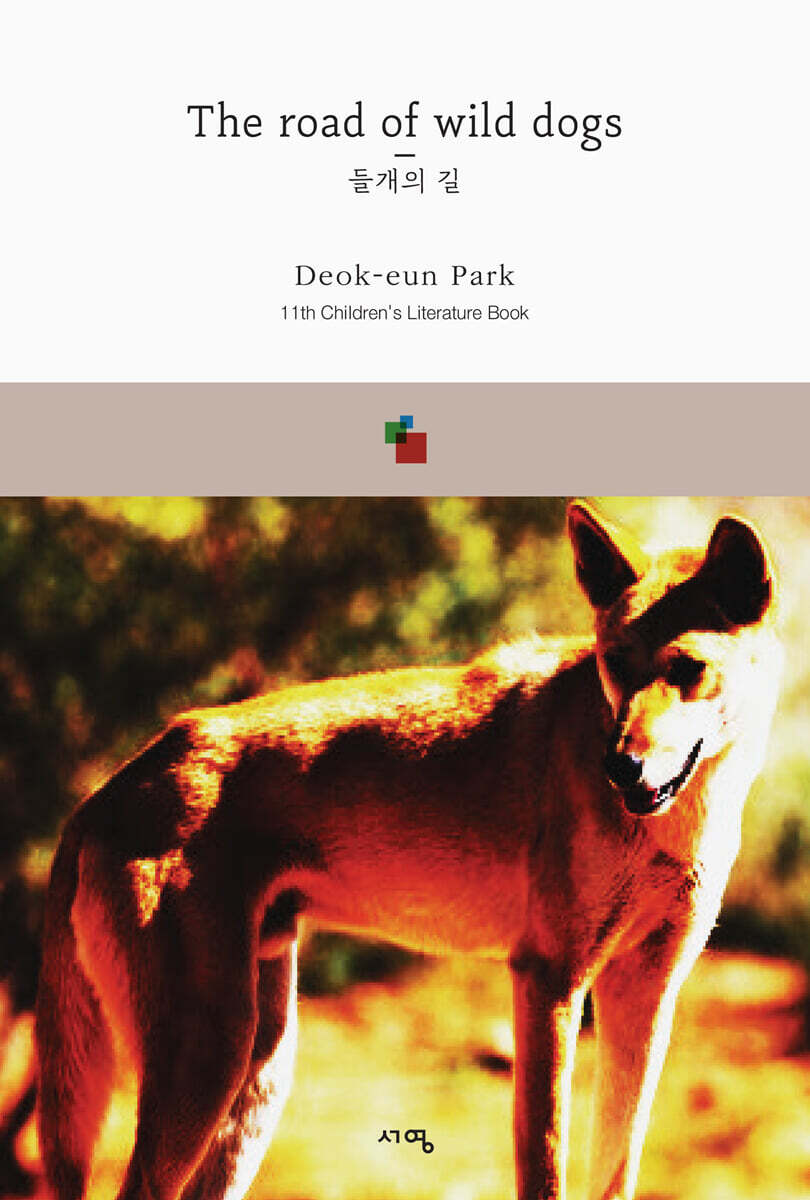 The road of wild dogs 들개의 길