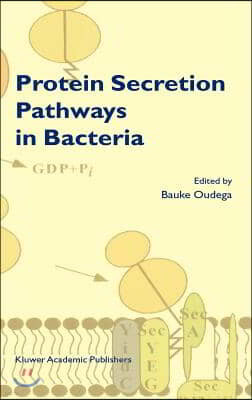 Protein Secretion Pathways in Bacteria