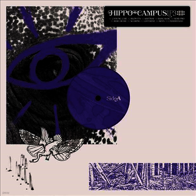 Hippo Campus — LP3 앨범 커버